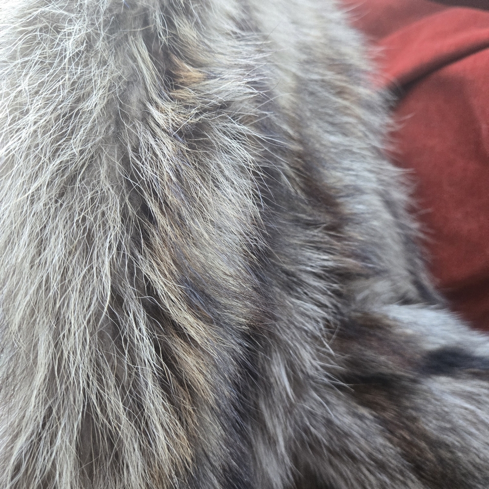 Luxurious Racoon Fur Coat - Picture 8 of 12